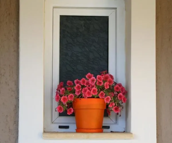 Apartment Nikoleta's Argostoli (Kefalonia)