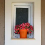 Apartmán Nikoleta's Argostoli (Kefalonia)