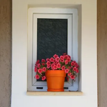 Apartment Nikoleta's Argostoli (Kefalonia)