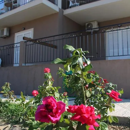 Nikoleta's Argostolion